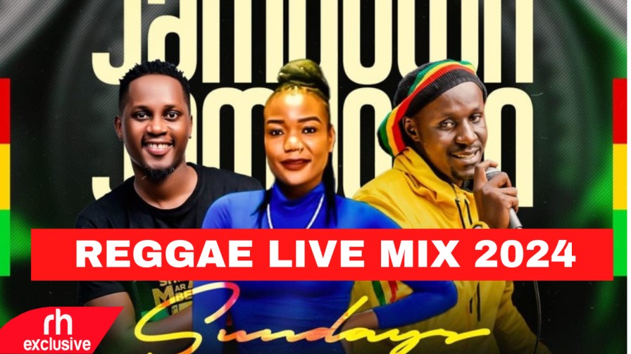 dj double trouble reggae mix 2024